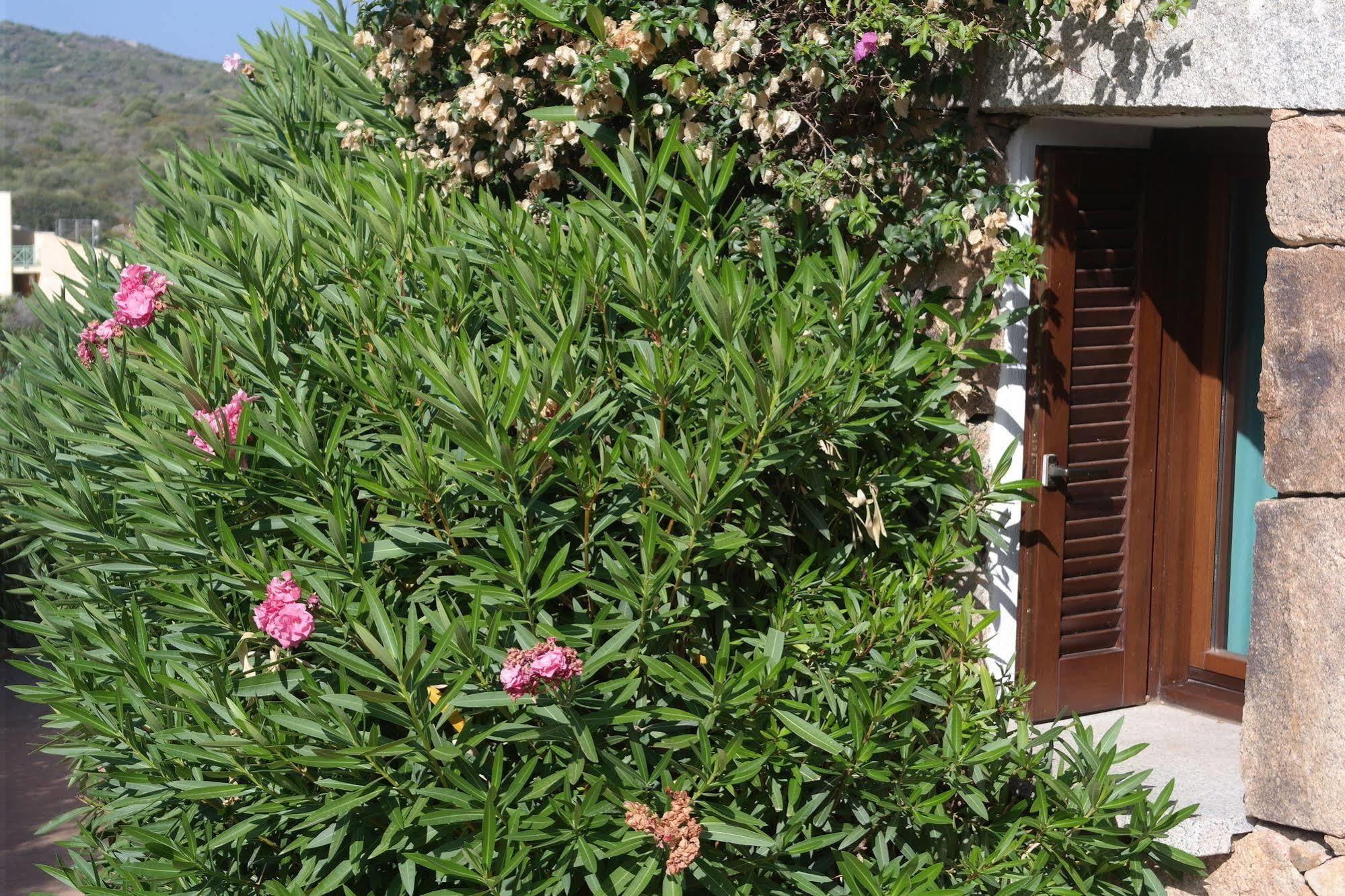 Sardinia Blu Residence Голфо Аранчи Екстериор снимка